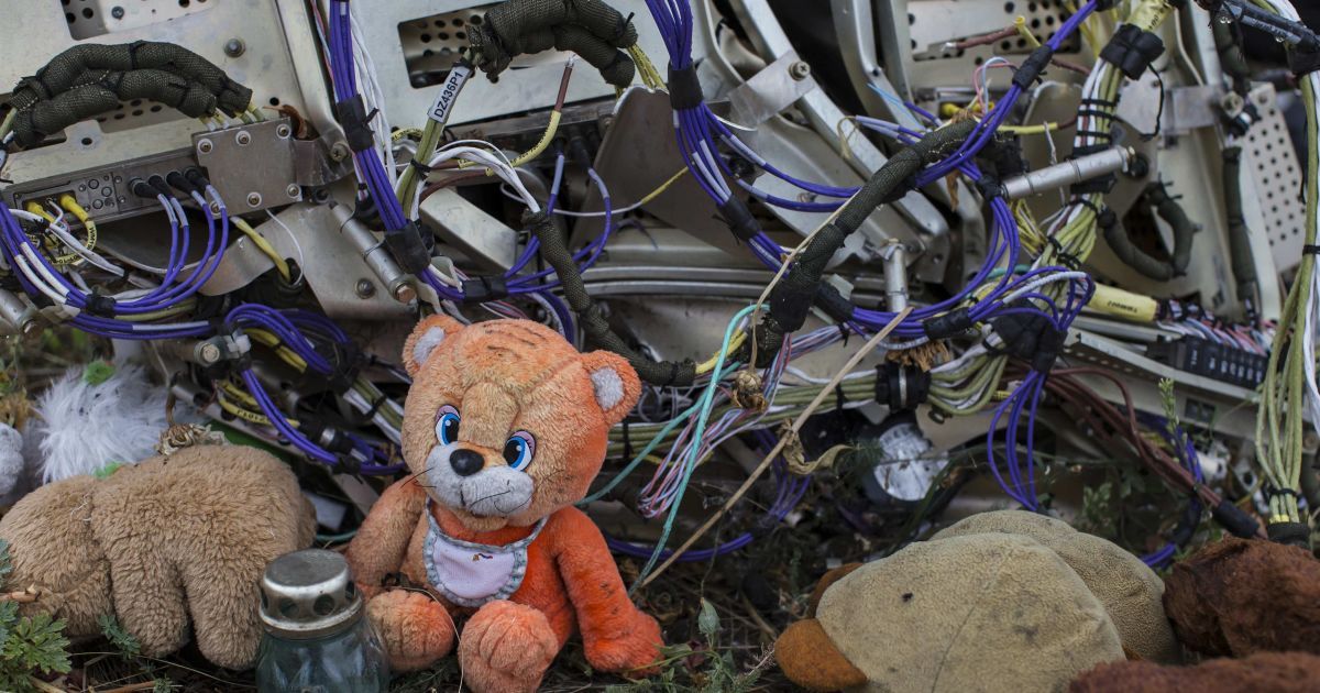 Конкретных результатов и деталей расследования у прокуратуры Нидерландов пока нет