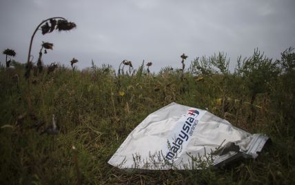 Євросоюз знову закликав Росію визнати свою відповідальність за катастрофу MH17