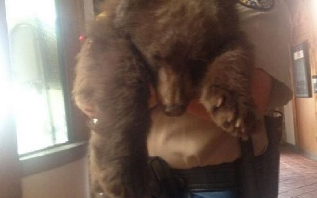Медвежонок уложился спать на полке с продуктами / © twitter.com/JeremyDanMoore