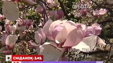 Сьогодні на всій території країни пройдуть затяжні дощі