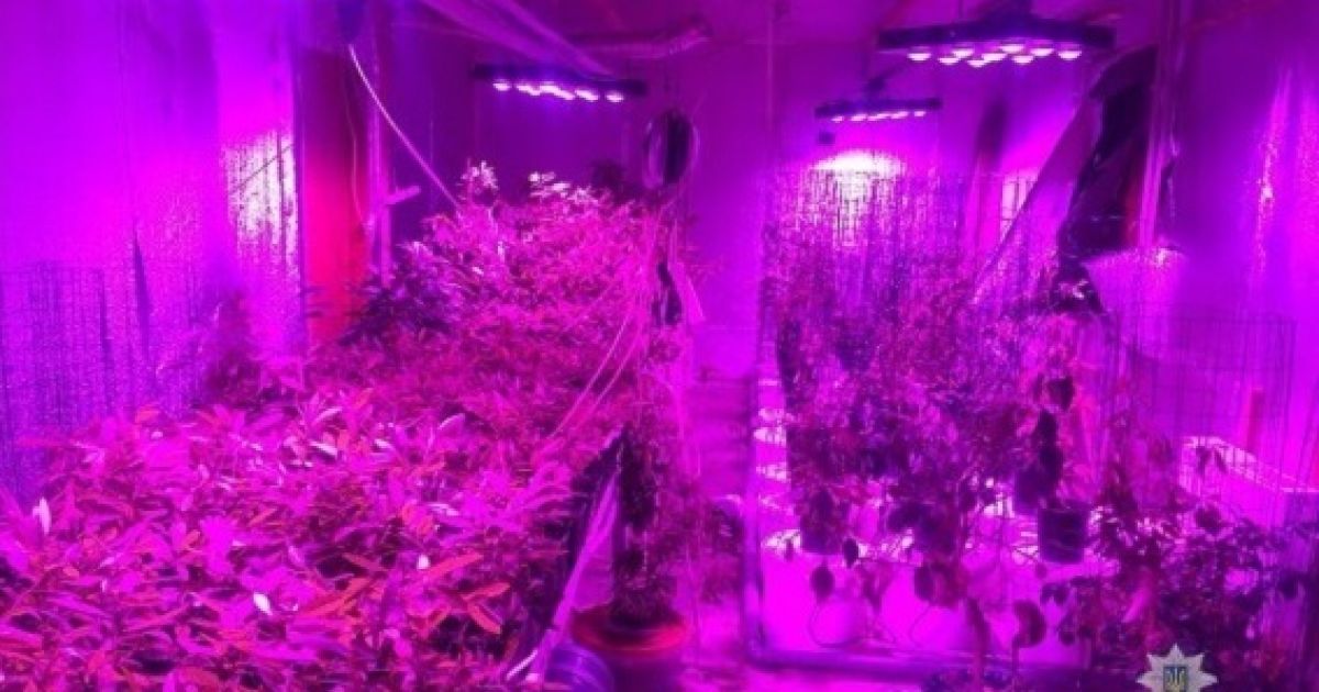 Нарколабораторія у гаражі