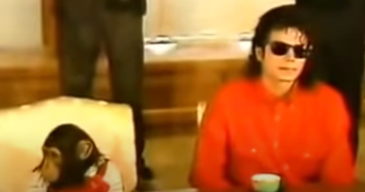 Michael Jackson's chimpanzee where and how 40yearold Bubbles lives