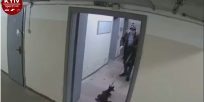 Жестокое избиение щенка в Киеве: против бывшего хозяина начато уголовное производство