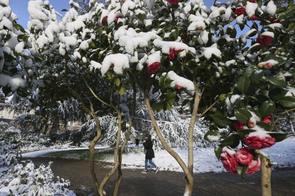  / © Associated Press