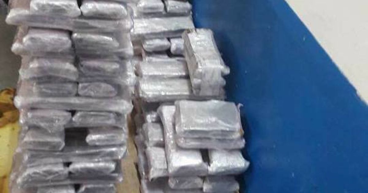 Львівські митники виявили понад 58,5 кілограм наркотиків_2 / © Олег Слободян/Facebook