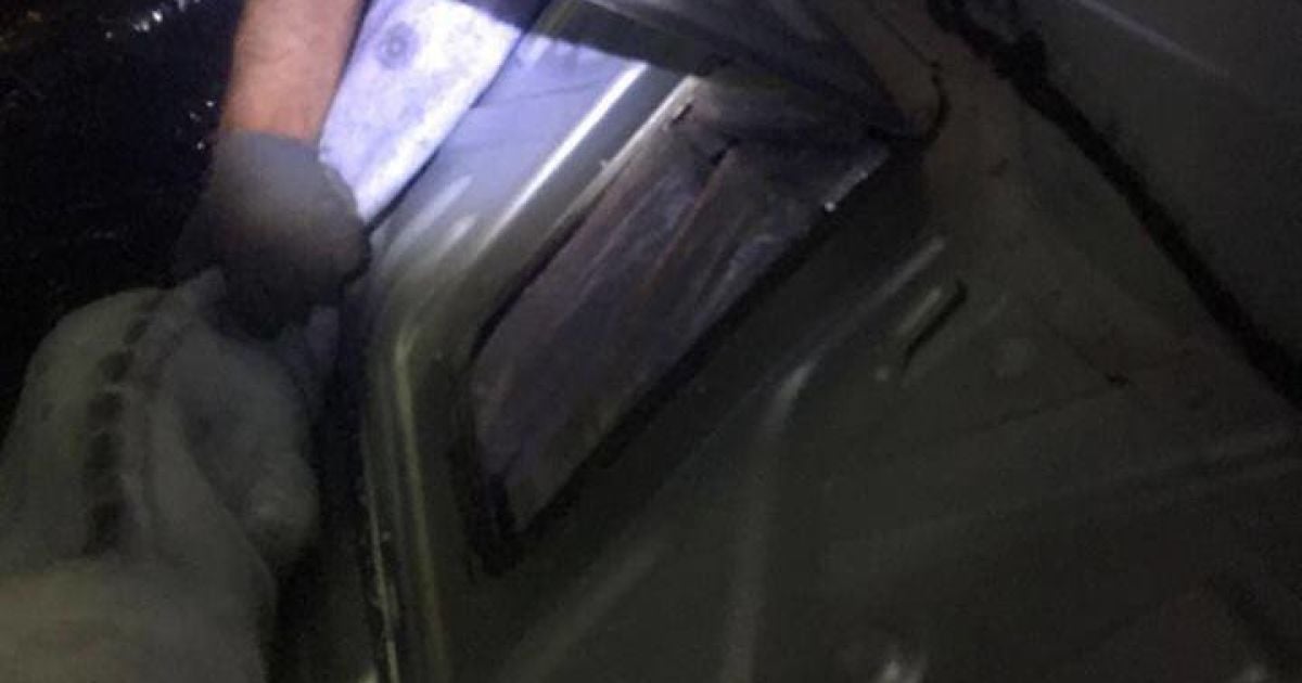 Львівські митники виявили понад 58,5 кілограм наркотиків_4 / © Державна фіскальна служба України