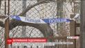 Полиция нашла убийц супругов пенсионеров из Ирпеня