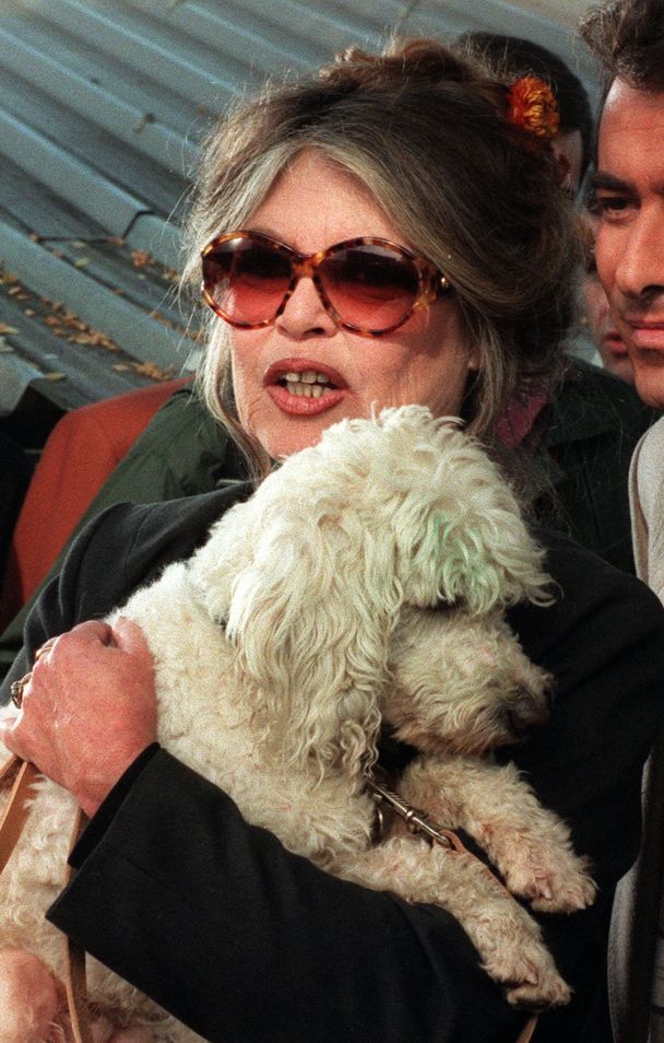  / © Associated Press