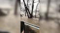 3 района области в воде! На Закарпатье из-за обильных дождей подтопило домохозяйства
