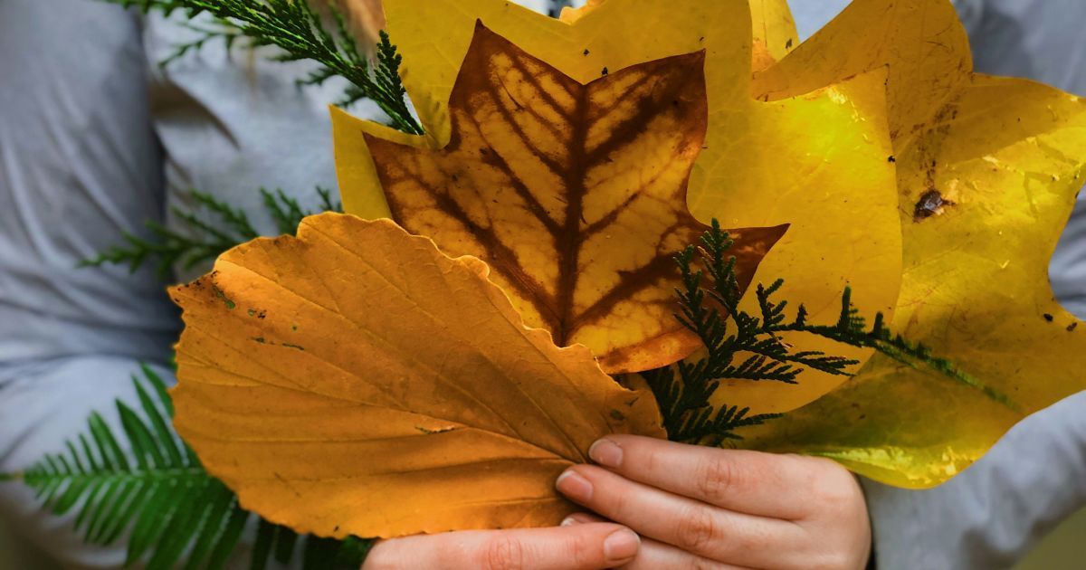 Какой сегодня 11 октября день ангела