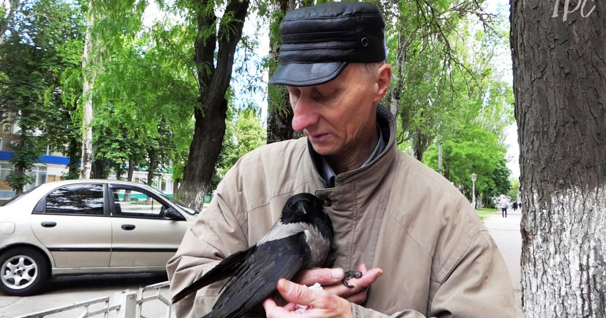 Після обстрілу Херсона Фото:  Медіа-центр ІРС-Херсон