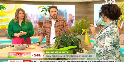Антонина Лесик о комнатных растениях для темных помещений и уходе за тропической орхидеей