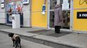Локдаун в Украине: стало известно, сколько заведений нарушили карантин