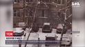 Косуля или олень: в центре Ровно разгуливал детеныш дикого животного