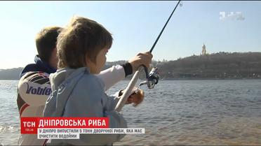 У Міжнародний день води з допомогою меценатів у Дніпро випустили 5 тонн води
