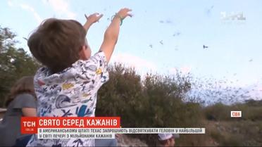 В Техасе приглашают отпраздновать Хэллоуин в крупнейшей в мире пещере с летучими мышами