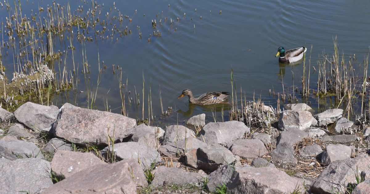 Погода зміниться