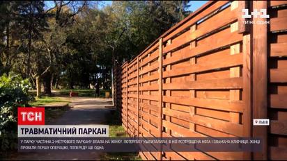 Новости Украины: во Львове забор едва не убил женщину в центральном парке культуры