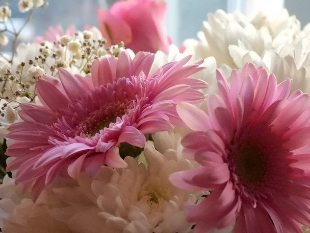 День ангела 5 лютого — душевні привітання в прозі / © unsplash.com