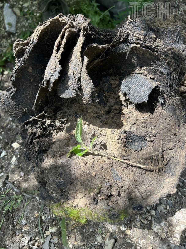 Місця загибелі військових заросли травою. / © ТСН