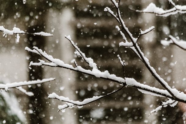 Если 8 декабря идет снег, то лето будет дождливым / © Pexels