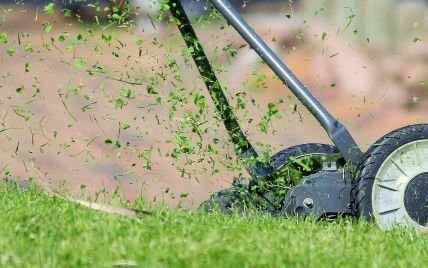 Как с пользой использовать скошенную газонную траву: восемь способов