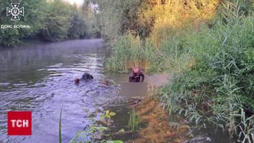 Впав з дошки і зник! У Луцьку трагедією завершилося плавання на водоймі