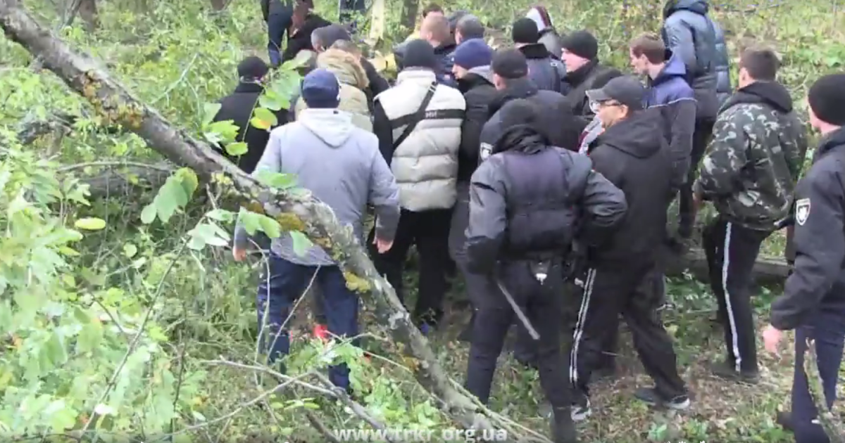 Под Киевом вспыхнул конфликт с застройщиком: титушки с бензопилами уничтожили старые дубы