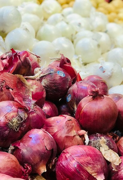 Лук репчатый