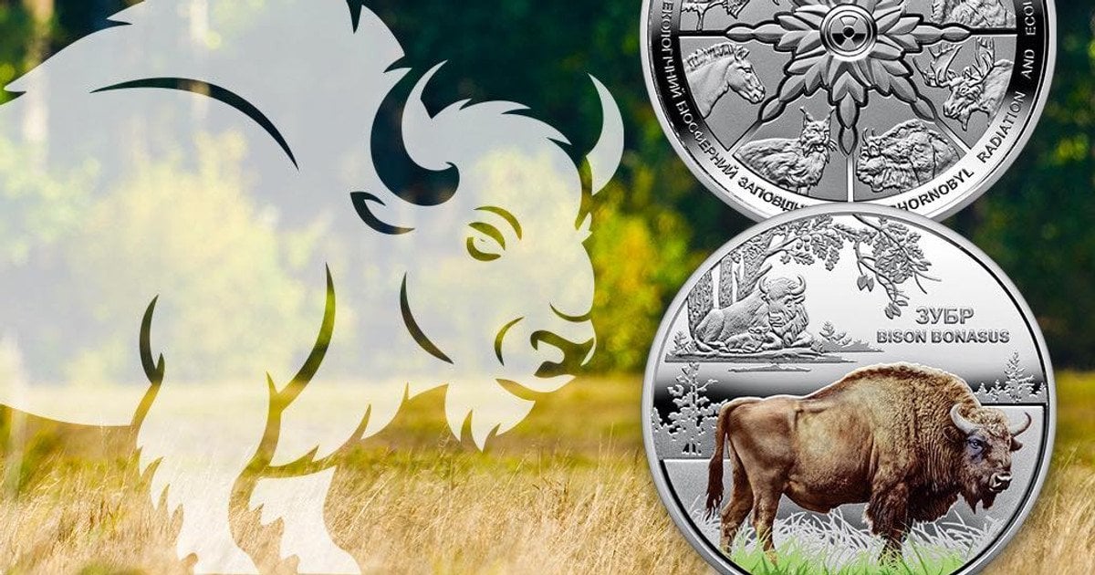 Монета із зубром