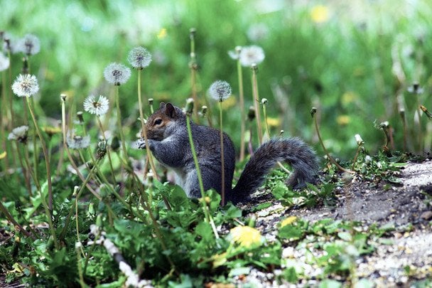 Народні прикмети 26 квітня / © pexels.com