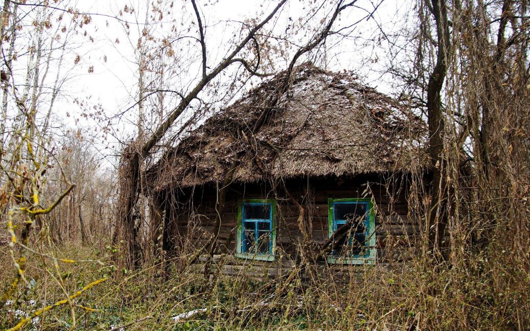 © Чорнобильський радіаційно-екологічний біосферний заповідник