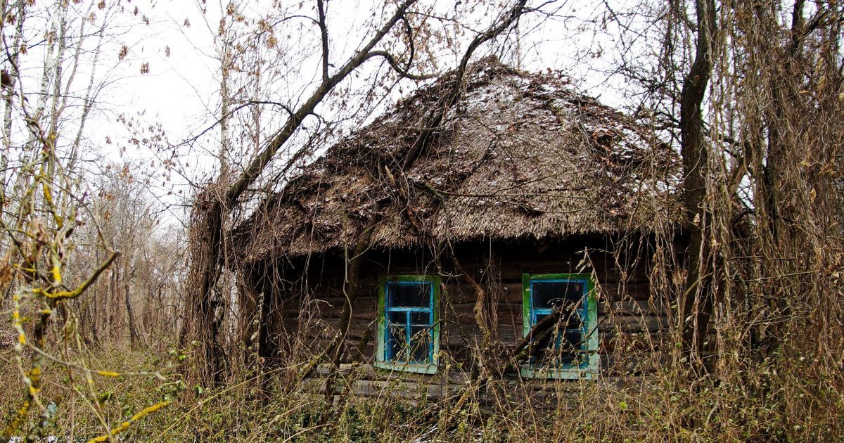 Старенька поліська хатинка у зоні відчуження / © Чорнобильський радіаційно-екологічний біосферний заповідник