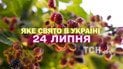Яке свято 24 липня 2026 року