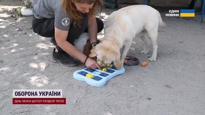 ”Боялся, что умрет на руках”: кинолог чудом спас четырехлапую напарницу