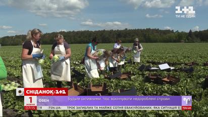 Денежные переводы от украинских заробитчан упали на 11 процентов – экономические новости