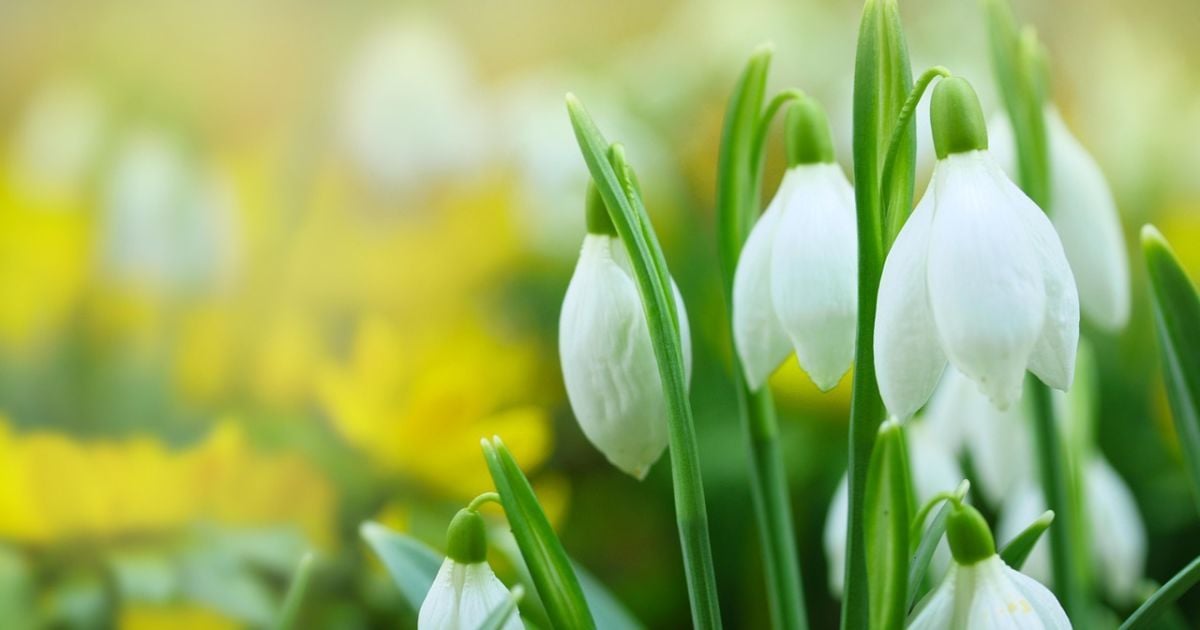 Прогноз погоди 7 та 8 березня