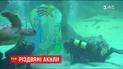Водолази встановили різдвяний вертеп в акваріумі Мадрида