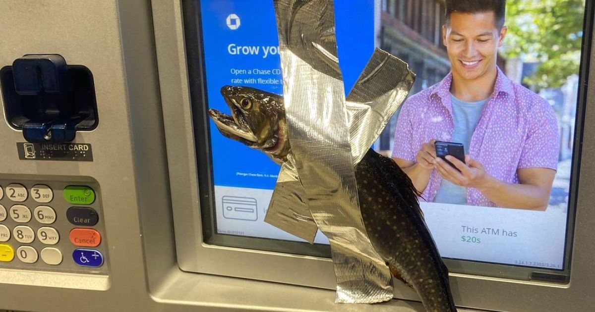 Рыба на банкомате / Фото: instagram.com/fish_bandit84