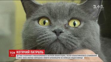 У столичний рибоохоронний патруль узяли на роботу кішку, яка ловитиме браконьєрів
