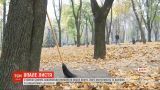 В парках Днепра запретили убирать опавшие листья