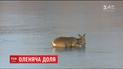 Словацкая пожарная бригада со второй попытки вытащила со льда олененка
