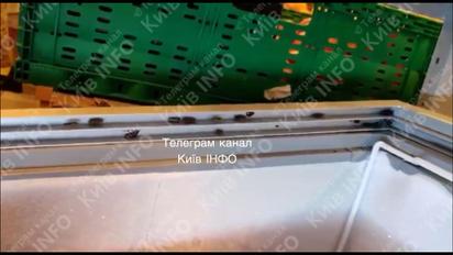 В Киеве в супермаркете заметили "морозостойких" тараканов