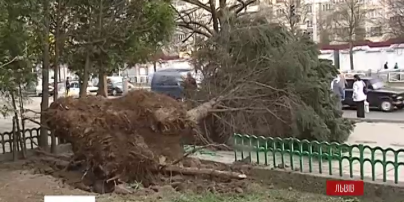 Три человека травмировались из-за урагана во Львове