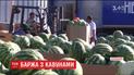 На Херсонщині тривають останні приготування до відправлення баржі з кавунами до Києва