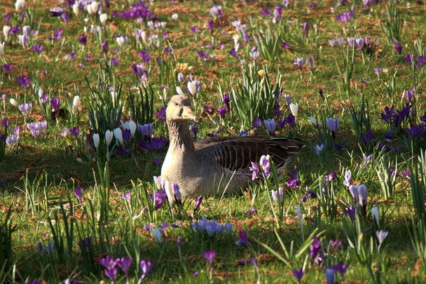 Народні прикмети 16 квітня / © pexels.com