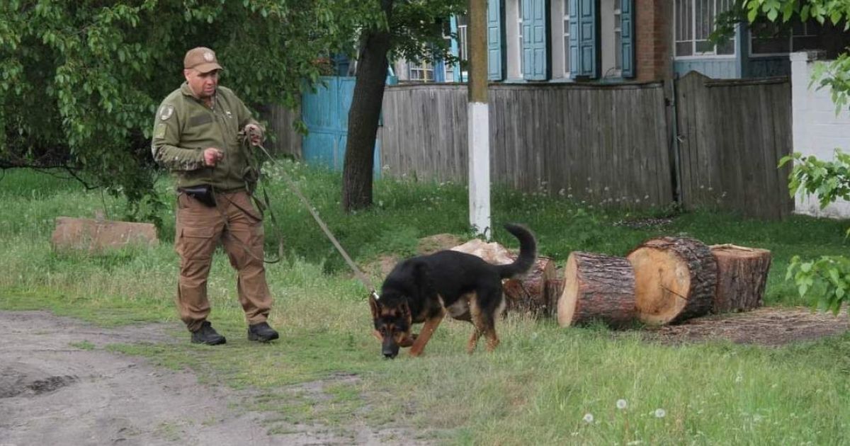 Виолетту Мужечук ищут на Харьковщине третьи сутки/Фото: ОО "Поисковый отряд "Ангел"