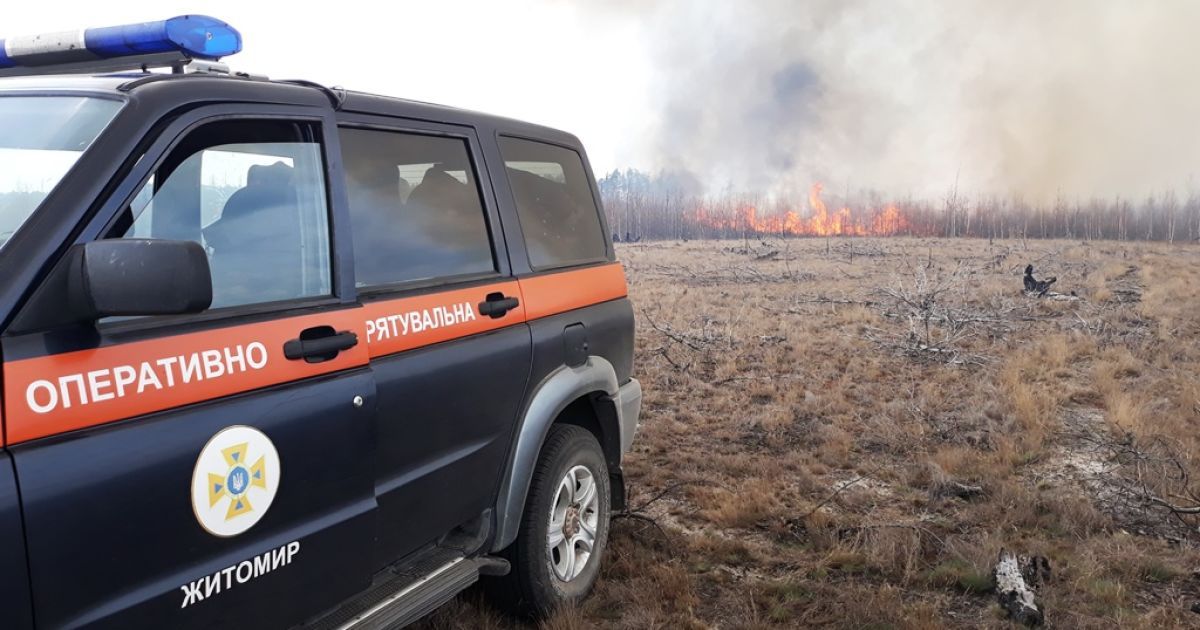 Пожежі в Житомирській області: горів ліс у природному заповіднику