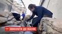 В Бостонском океанариуме тюленей приучают не бояться людей в масках