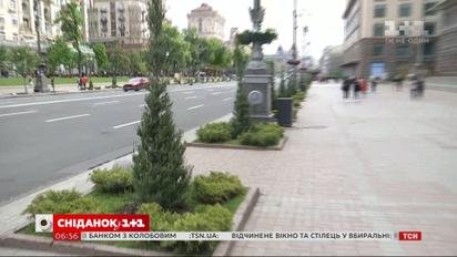 Чому на Хрещатику висадили ялівці і чи повернуться каштани